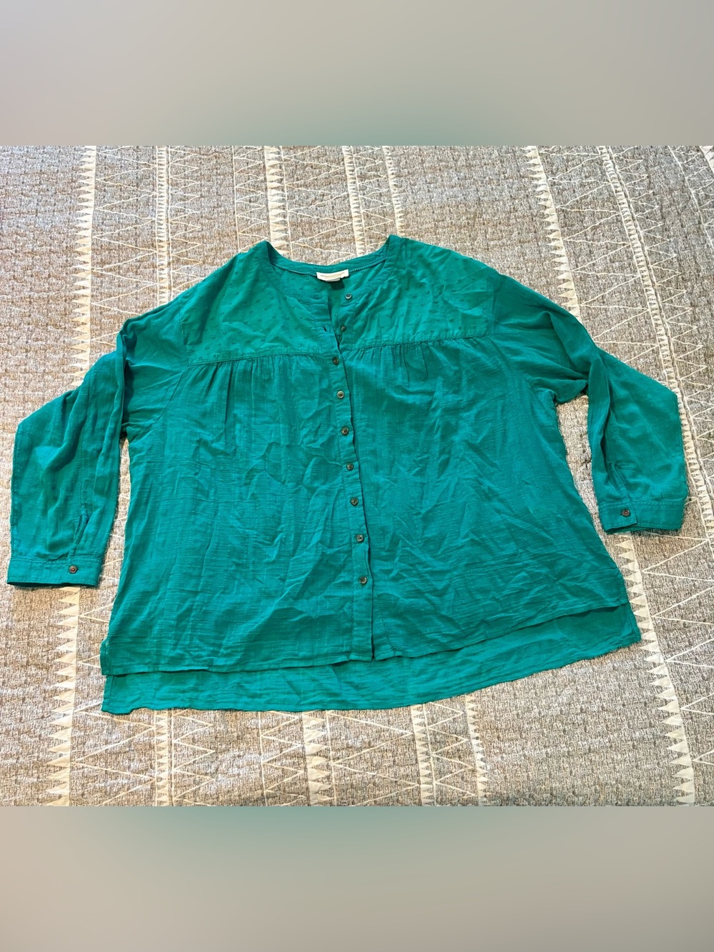 Pilcro Anthropologie Mila Teal Swiss Dot Button Down Blouse XL